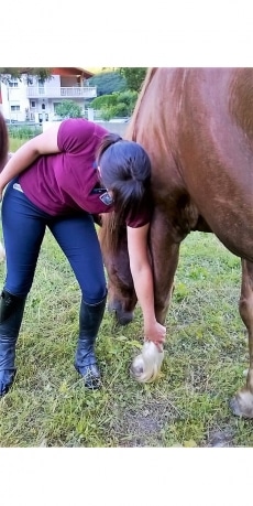 comment détecter une bleime chez le cheval